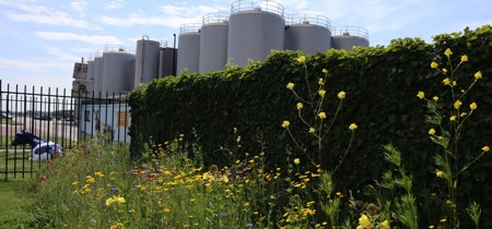 Extra Beeld CONO Kaasmakers 2024