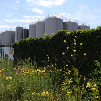 Extra Beeld CONO Kaasmakers 2024