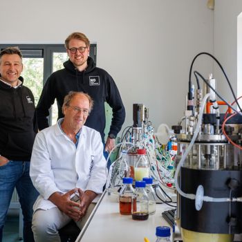 Nopalm 2 All Right Reserved Nopalm Ingredients